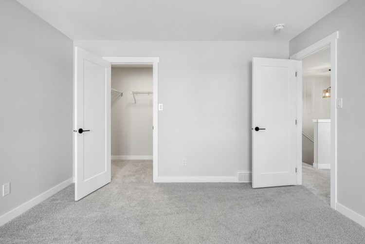 Carpet flooring color